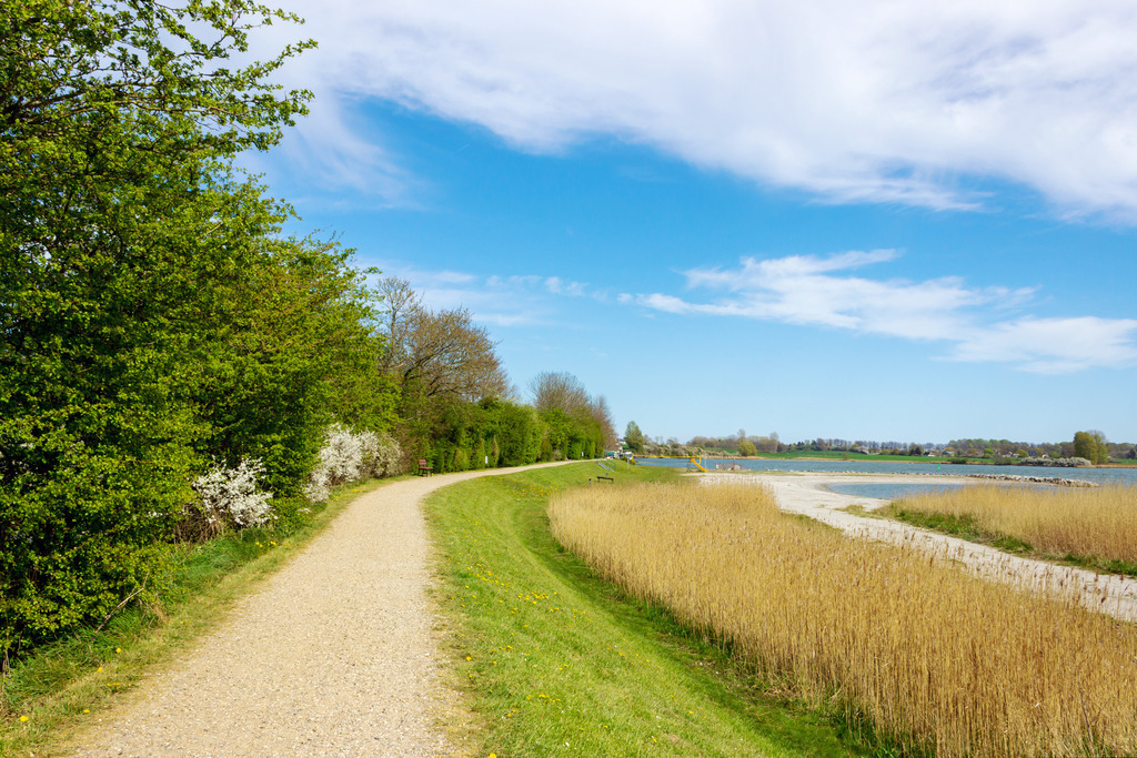 Wandbid: Spazierweg an der Schlei in Arnis | Dieses Wandbild im Querformat zeigt einen schönen Spazierweg in Arnis an der Schlei. Auf der rechten Seite befindet sich Schilf. Am blauen Himmel sind einige Schleierwolken zu sehen.  - Realisiert mit Pictrs.com