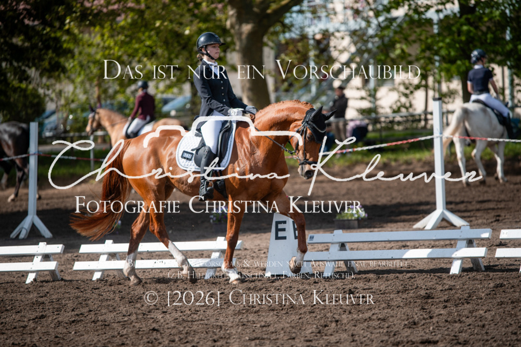 DSC_9336 | Christina-Kleuver