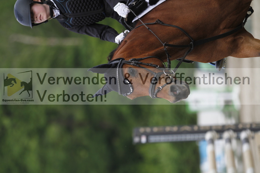 _MG_4303 | equestrian-live-com