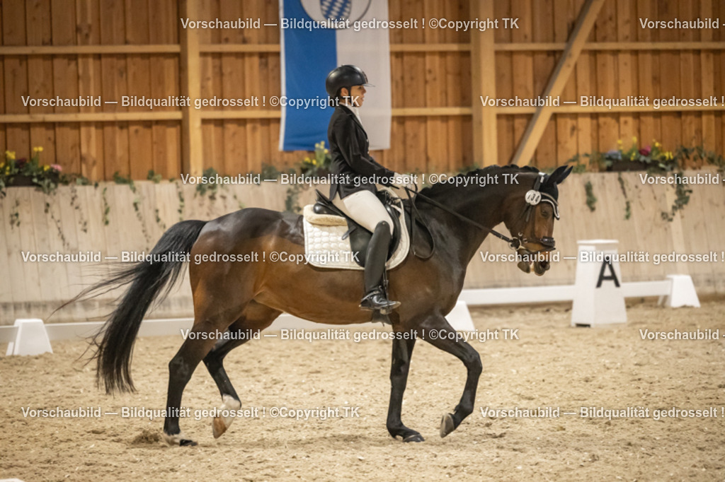 _D5A0905 | Emotionale Pferde- & People-Fotografie rund um Heidelberg, Leimen & Umgebung. Natürliche Fotos von Pferd, Mensch & Familie. Jetzt Termin sichern!