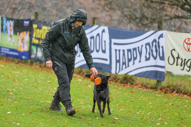 2025_Rally_Obedience_SM-146 | Ich fotografiere Hundeausstellungen, Sportanlässe, Zuchtstätten, Hundezucht, Hundeportrait, Lagotto - Realisiert mit Pictrs.com