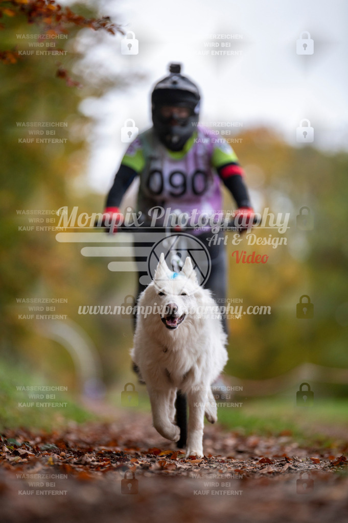 DBT_DAKM_SA_4_11_2023_Bike-66 | PayLife