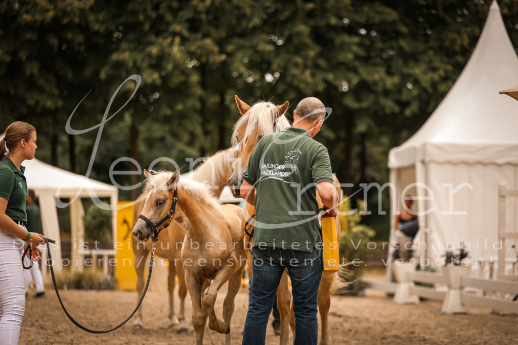 06.So00123 | Leoni Ertmer Photography - Realisiert mit Pictrs.com