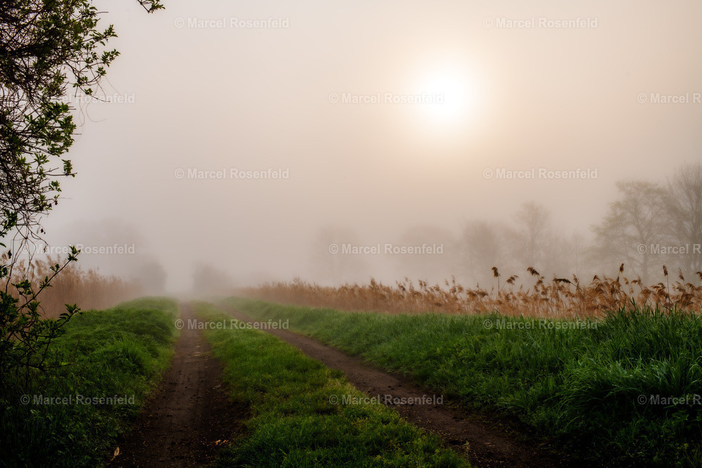 _DSC3166 (1) | foto-rosenfeld