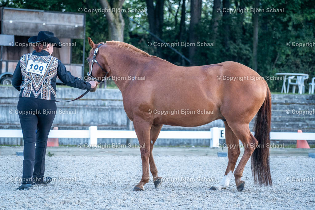 HOB07602 | BS-foto