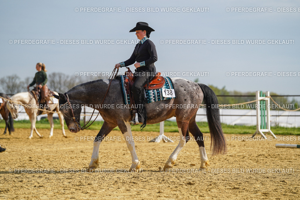 DSC01166 | Pferdegrafie