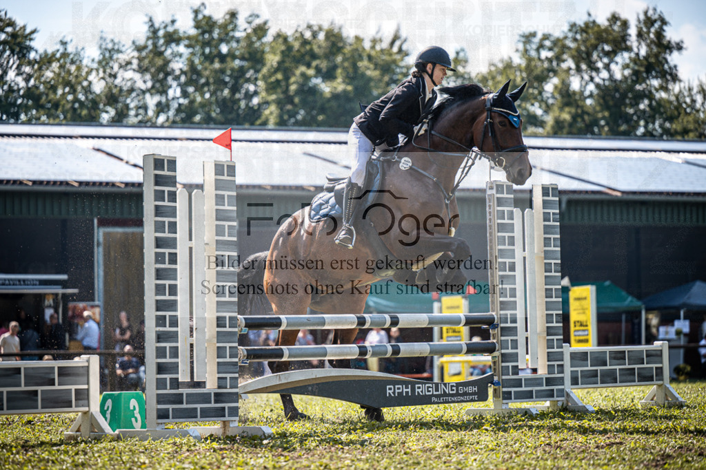 Z63_0141 | Entdecke hochwertige Reitturnierfotos von Foto Oger. Professionell, emotional und authentisch – jetzt Lieblingsmomente im Shop bestellen.Deutschlandweite Turnierfotografie. - Realisiert mit Pictrs.com