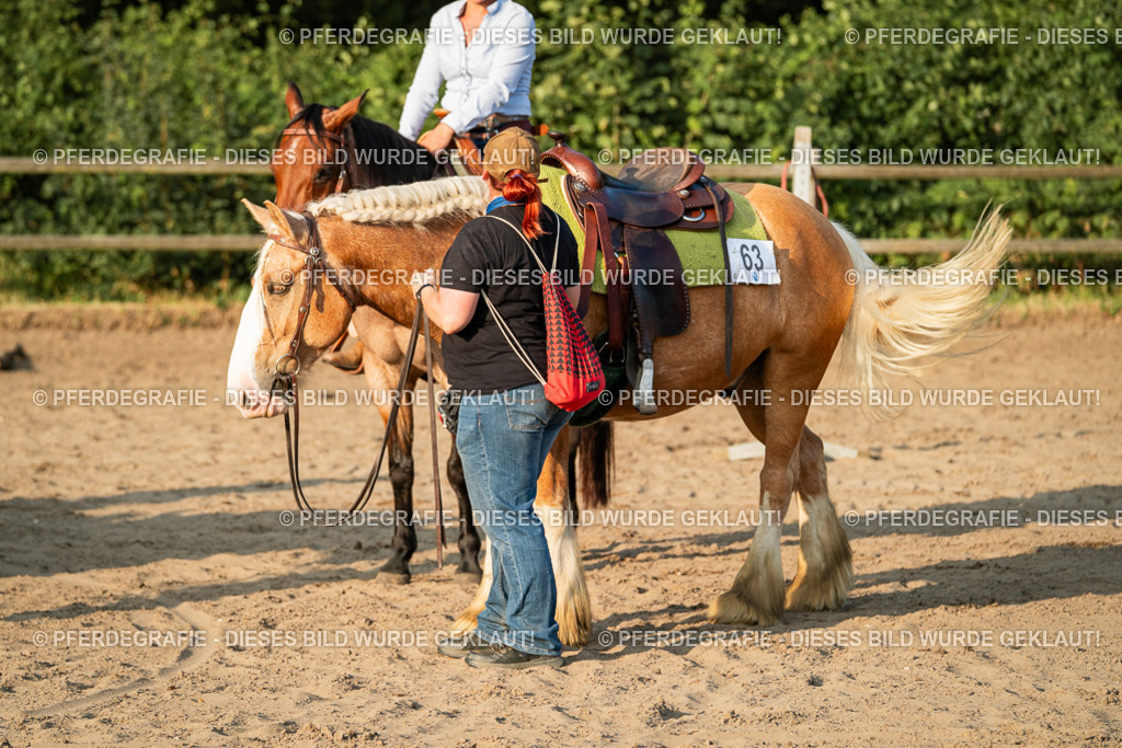 DSC06316 | Pferdegrafie