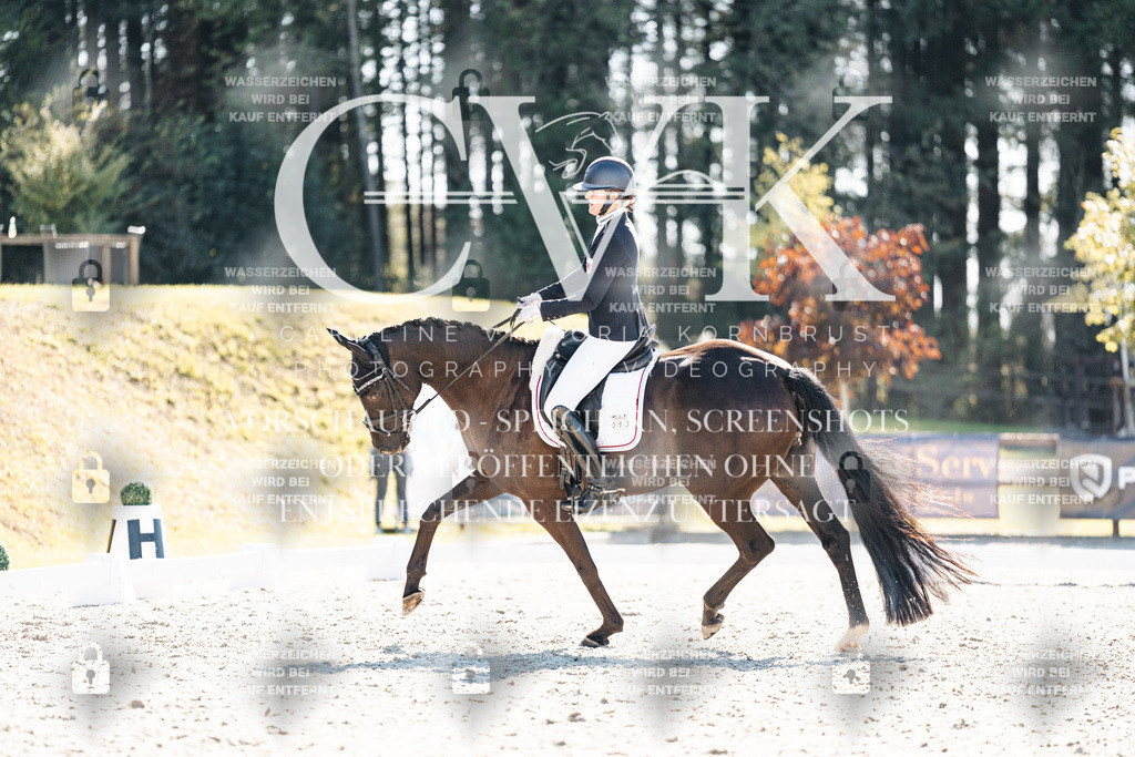 CK905555 | Turnierfotografie Pferdefotografie Trier Rheinland-Pfalz Pferdesport Reitsport Tierfotografie Sportfotografie Pferdevideo Pferdevideografie Equestrianvideography equestrianphotography  - Realisiert mit Pictrs.com