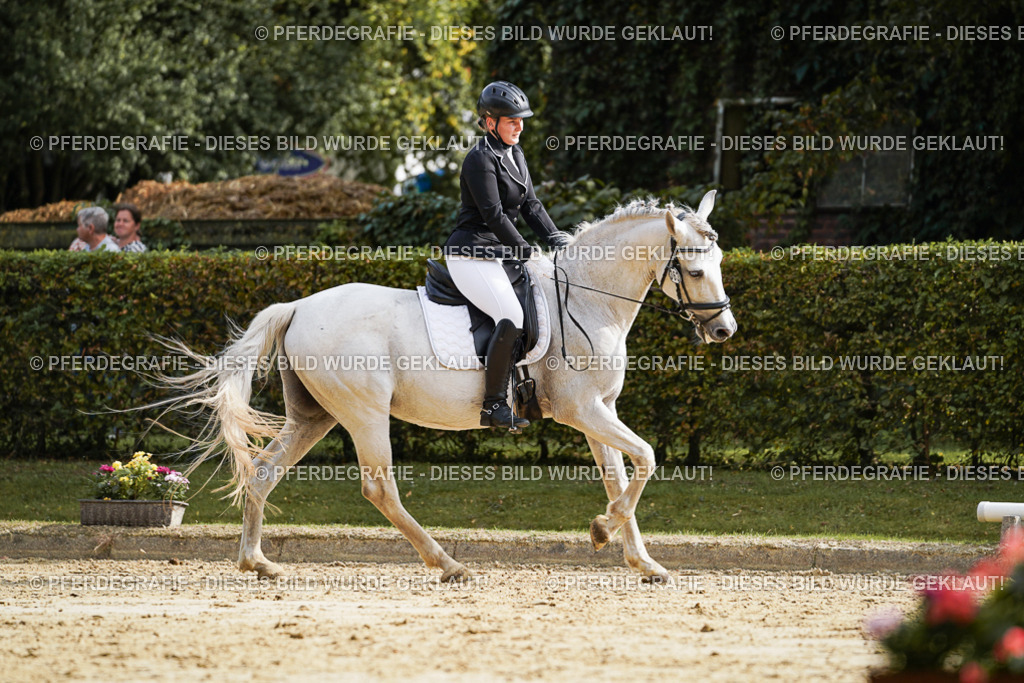 DSC04393 | Pferdegrafie