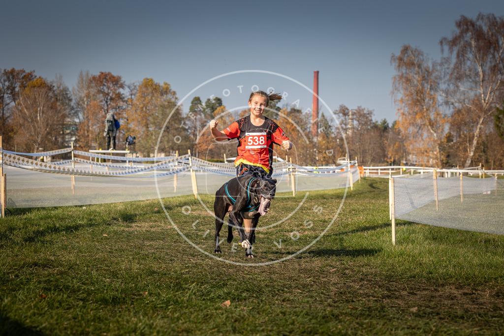 CaniXpix_0L8A9007 | Hundefotografie, Tierfotograf, Pfotenfotografie, Fotoshooting Hund, Hunde Portrait, Hundesport, Hundeportraits, Heideshooting, Hunde, Sportfotograf, Hundefotograf, Turnierhundsport, THS,  - Realisiert mit Pictrs.com