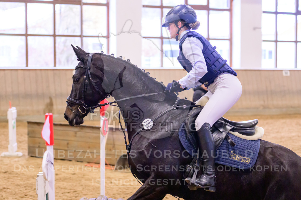 29032026-Schwaiganger-Prfg03-2-0676 | Fokus Hufschlag Fotografie - Realisiert mit Pictrs.com
