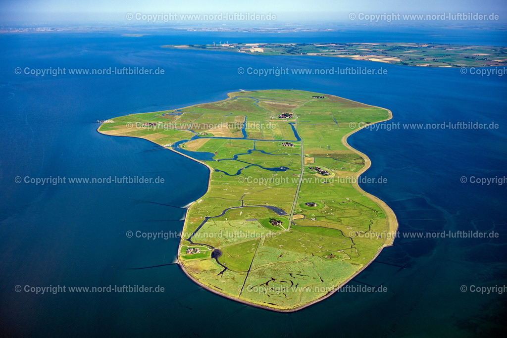 Hallig_Hooge_ELS_05330130825 | HOOGE 13.08.2025 Küstenbereich der Nordsee- Hallig - Insel in Hooge im Bundesland Schleswig-Holstein. // Coastal area of the North Sea Halligen - Island in Hooge in the state Schleswig-Holstein. Foto: Martin Elsen