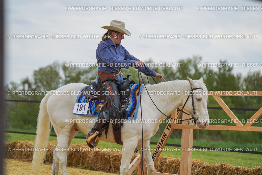 DSC07463 | Pferdegrafie