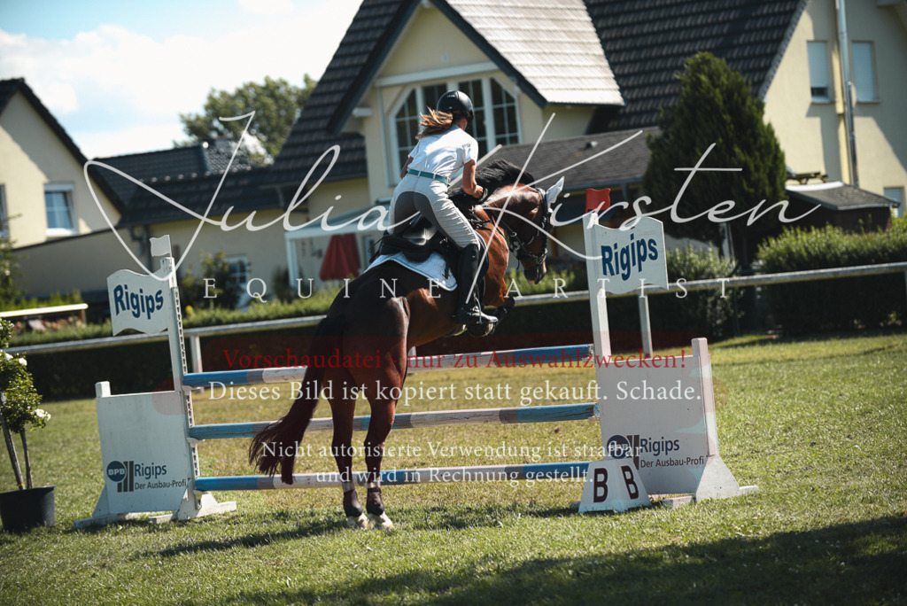 DSC_7286 | Pferde- und Turnierfotografie in Westsachsen. Pferdeportraits, Auftragszeichnungen und intuitive Kunst.