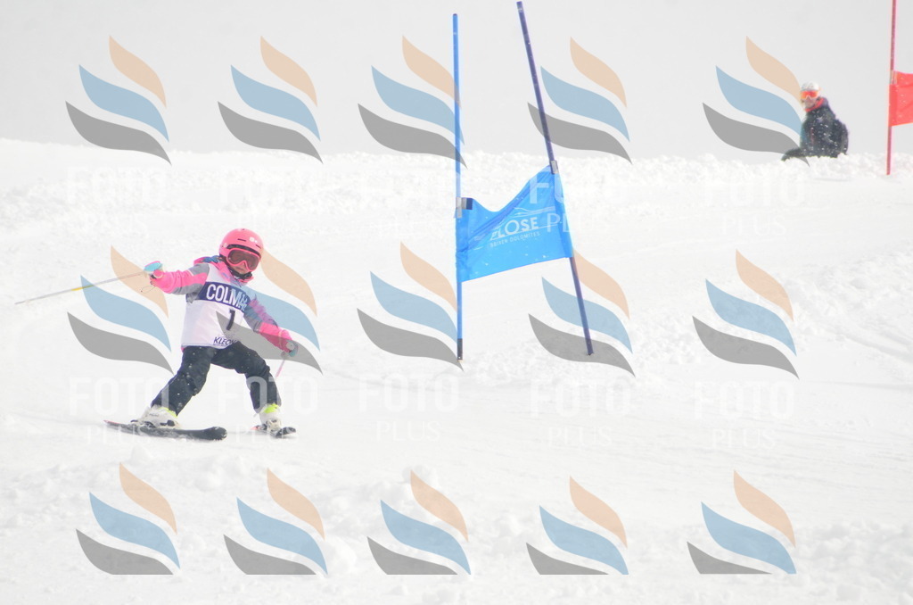 A4982 | holidayphoto