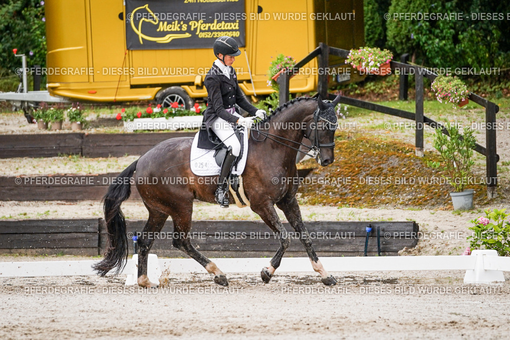 DSC08731 | Pferdegrafie