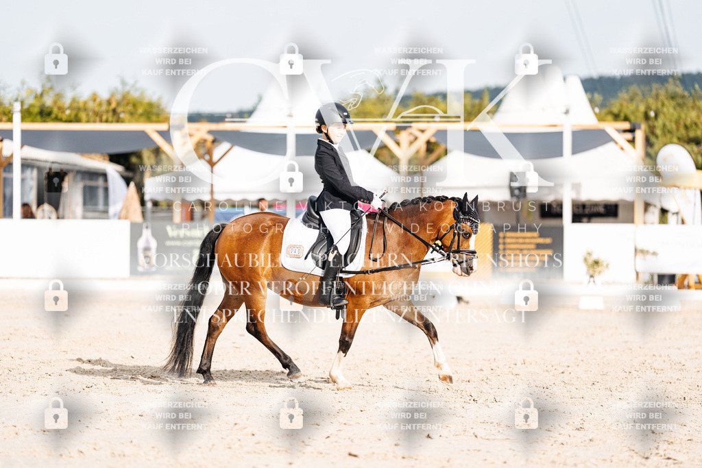 CK904211 | Turnierfotografie Pferdefotografie Trier Rheinland-Pfalz Pferdesport Reitsport Tierfotografie Sportfotografie Pferdevideo Pferdevideografie Equestrianvideography equestrianphotography  - Realisiert mit Pictrs.com
