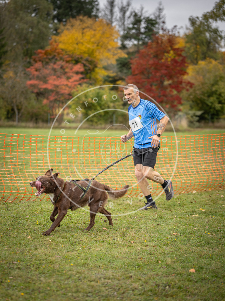 Pfotenfotografie_DV3A2865 | Hundefotografie, Tierfotograf, Pfotenfotografie, Fotoshooting Hund, Hunde Portrait, Hundesport, Hundeportraits, Heideshooting, Hunde, Sportfotograf, Hundefotograf, Turnierhundsport, THS,  - Realisiert mit Pictrs.com