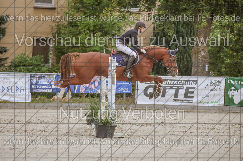 2025-09-22_09-38-49_MG_4081 | TE-Fotos