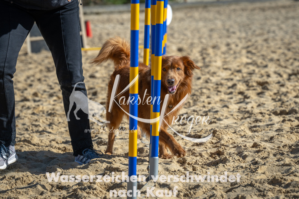 1455_ZZ92020 | kk-dogfotos