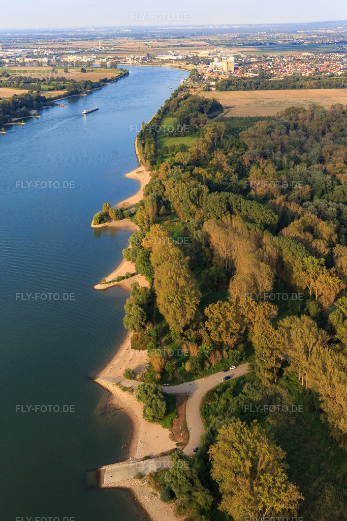 Luftbild: Sandbuchten am Rheinufer und Nato-Rampe Gernsheim in Gernsheim im Bundesland Hessen in Deutschland. Foto: IMG_094645.jpg vom 21.09.2016 durch Werner Riehm/FLY-FOTO.de