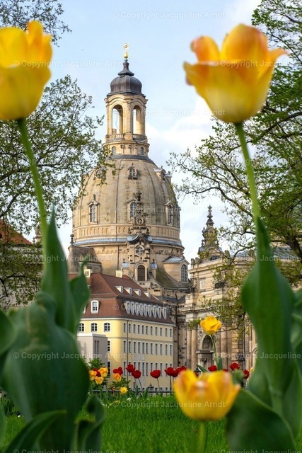 Frauenkirche_Frühling | Fotografie Photography Dresden Photoshooting  Fotoshooting Fotografin Dresdencity Bilder  Foto Dresdenvideos Kalender Postkarten Bilderdownload Portrait Hochzeitsfotografie Familienfotos Bewerbungsbilder Studiofotografie Fotograf Dresdenbilder Business - Realisiert mit Pictrs.com