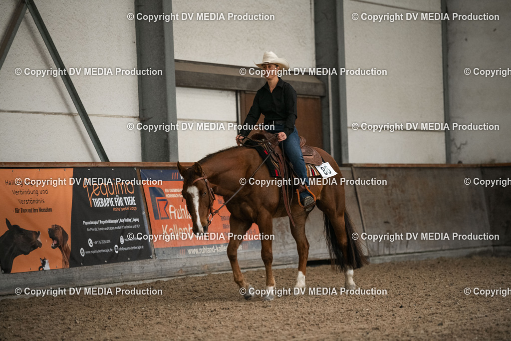 Heiligenwald Tag 1-257 | dv-media-shop - Realisiert mit Pictrs.com