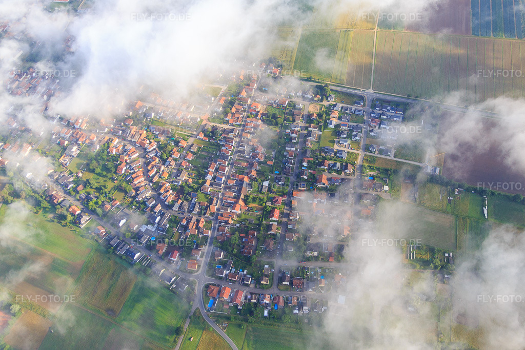 Luftbild: Holzgasse unter Wolken in Minfeld im Bundesland Rheinland-Pfalz in Deutschland. Foto: IMG_089982.jpg vom 26.06.2016 durch Werner Riehm/FLY-FOTO.de