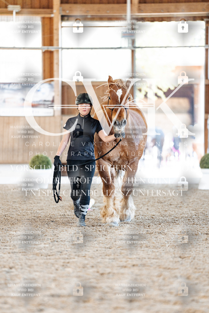 CK906299 | Turnierfotografie Pferdefotografie Trier Rheinland-Pfalz Pferdesport Reitsport Tierfotografie Sportfotografie Pferdevideo Pferdevideografie Equestrianvideography equestrianphotography  - Realisiert mit Pictrs.com