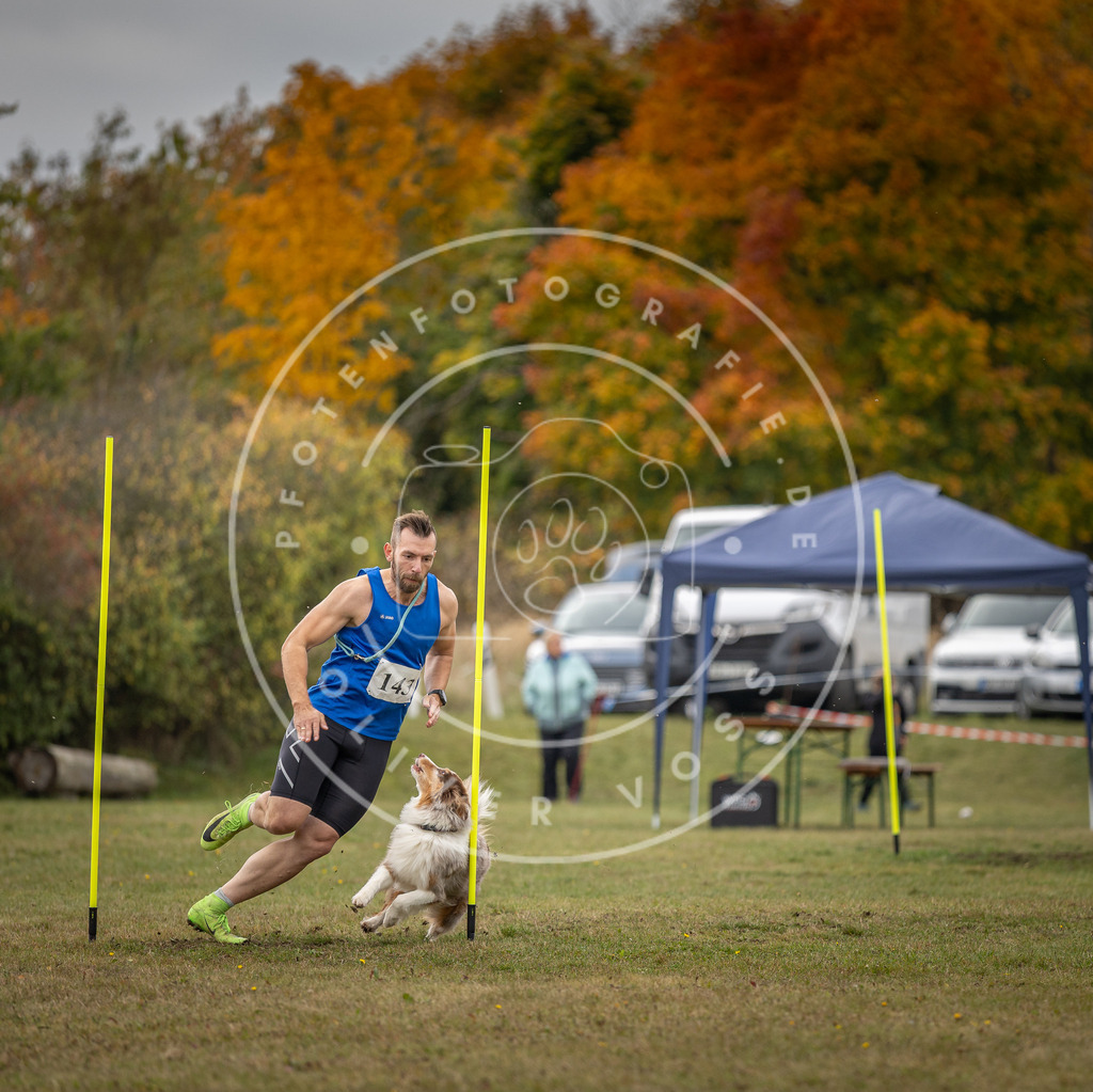 Pfotenfotografie_DV3A7987 | Hundefotografie, Tierfotograf, Pfotenfotografie, Fotoshooting Hund, Hunde Portrait, Hundesport, Hundeportraits, Heideshooting, Hunde, Sportfotograf, Hundefotograf, Turnierhundsport, THS,  - Realisiert mit Pictrs.com