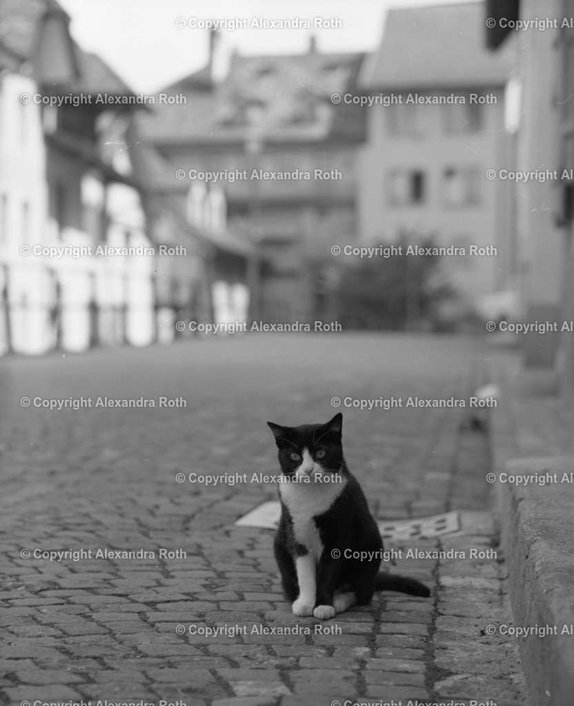 Aarau_0530 | onlineshop - Realisiert mit Pictrs.com