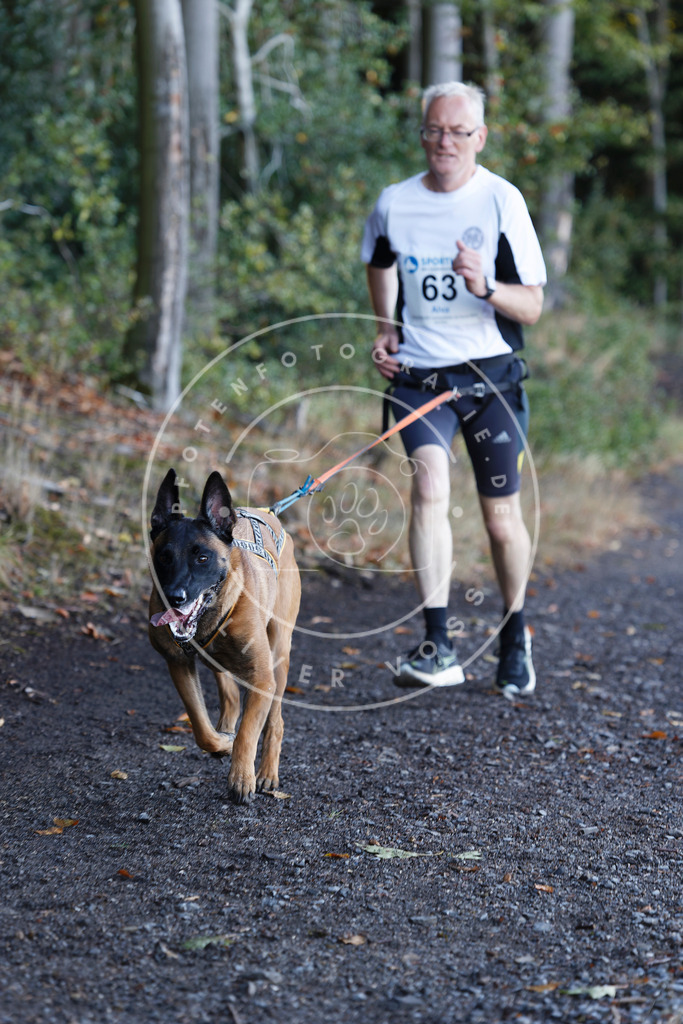 0L8A1889 | Hundefotografie, Tierfotograf, Pfotenfotografie, Fotoshooting Hund, Hunde Portrait, Hundesport, Hundeportraits, Heideshooting, Hunde, Sportfotograf, Hundefotograf, Turnierhundsport, THS,  - Realisiert mit Pictrs.com