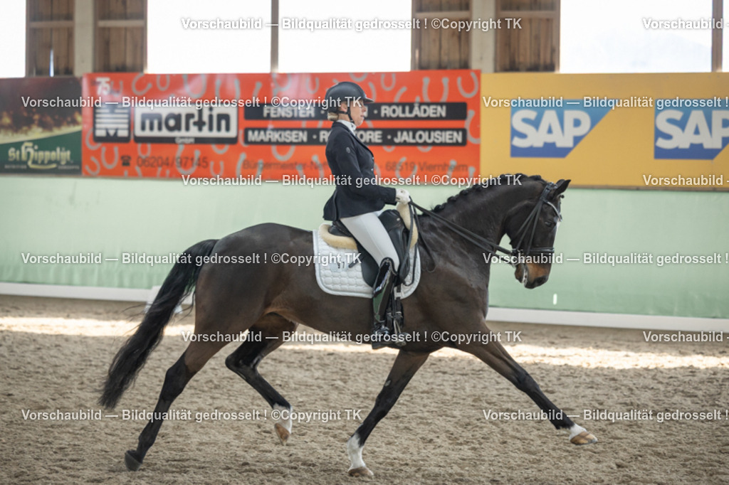 _D5A3002 | Emotionale Pferde- & People-Fotografie rund um Heidelberg, Leimen & Umgebung. Natürliche Fotos von Pferd, Mensch & Familie. Jetzt Termin sichern!