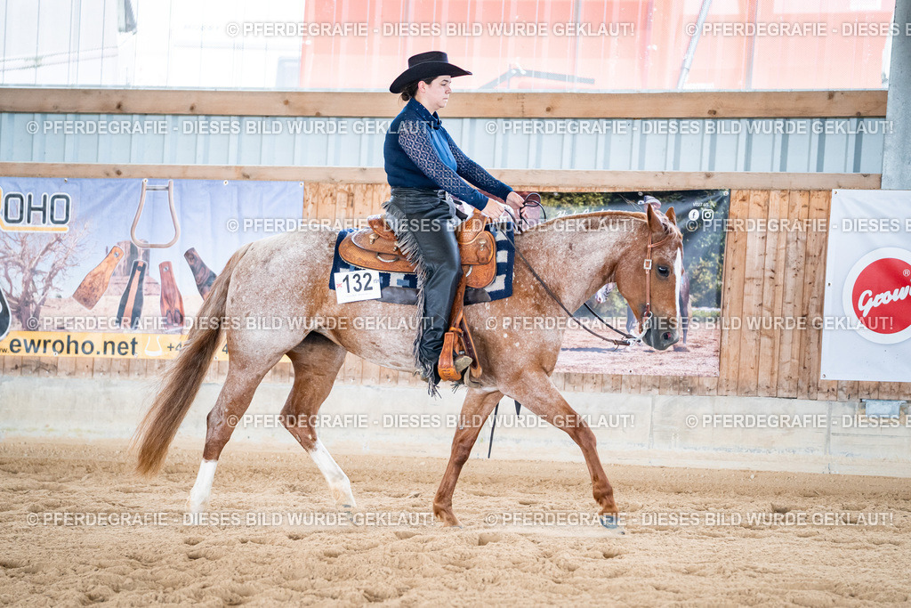 DSC02025 | Pferdegrafie