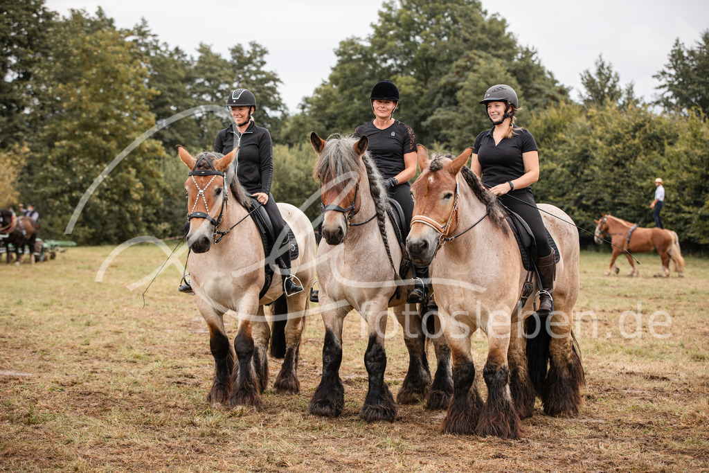 846A3660 | fotosleben - Realisiert mit Pictrs.com