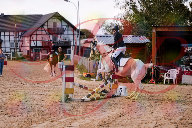 2026_10_03_Siefer-Hof_144302_Z81_16453722 | Professionelle Reitsport-, Turnier- und Eventfotografie von Robert Broda. Galerien mit ausgewählten und bearbeiteten Bildern direkt online ansehen und bestellen.