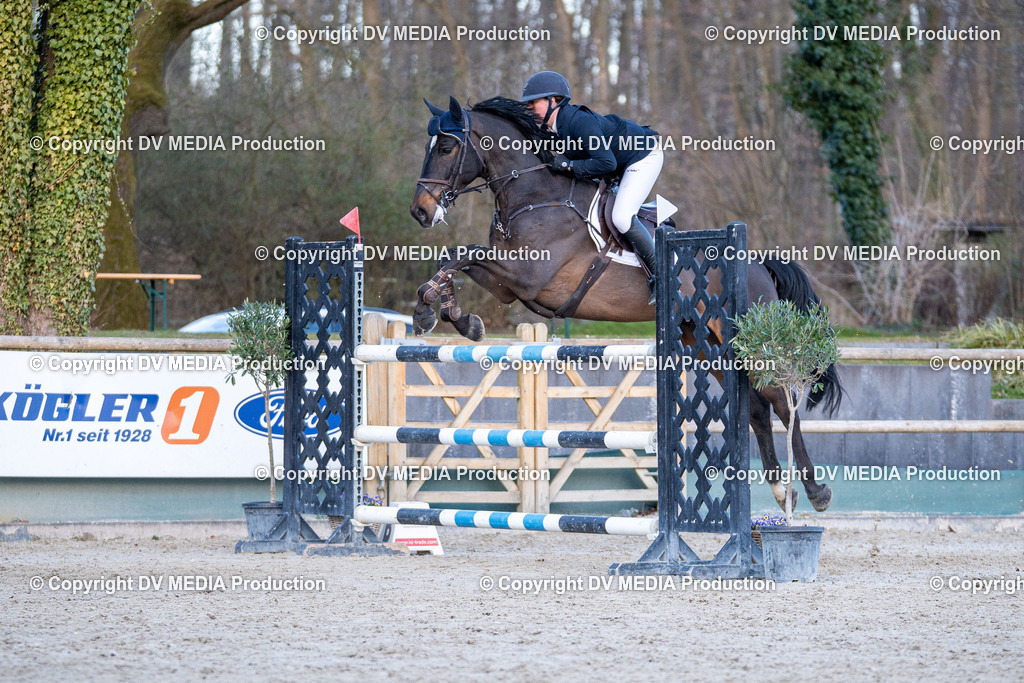 Kranichstein Tag 2-1044 | dv-media-shop - Realisiert mit Pictrs.com