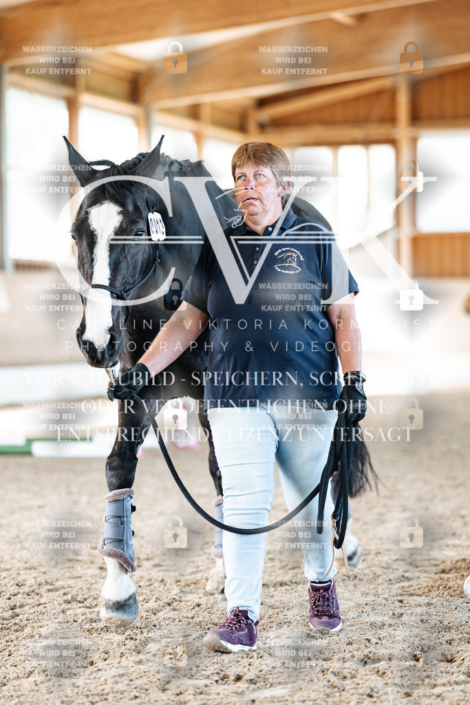 CK906270 | Turnierfotografie Pferdefotografie Trier Rheinland-Pfalz Pferdesport Reitsport Tierfotografie Sportfotografie Pferdevideo Pferdevideografie Equestrianvideography equestrianphotography  - Realisiert mit Pictrs.com