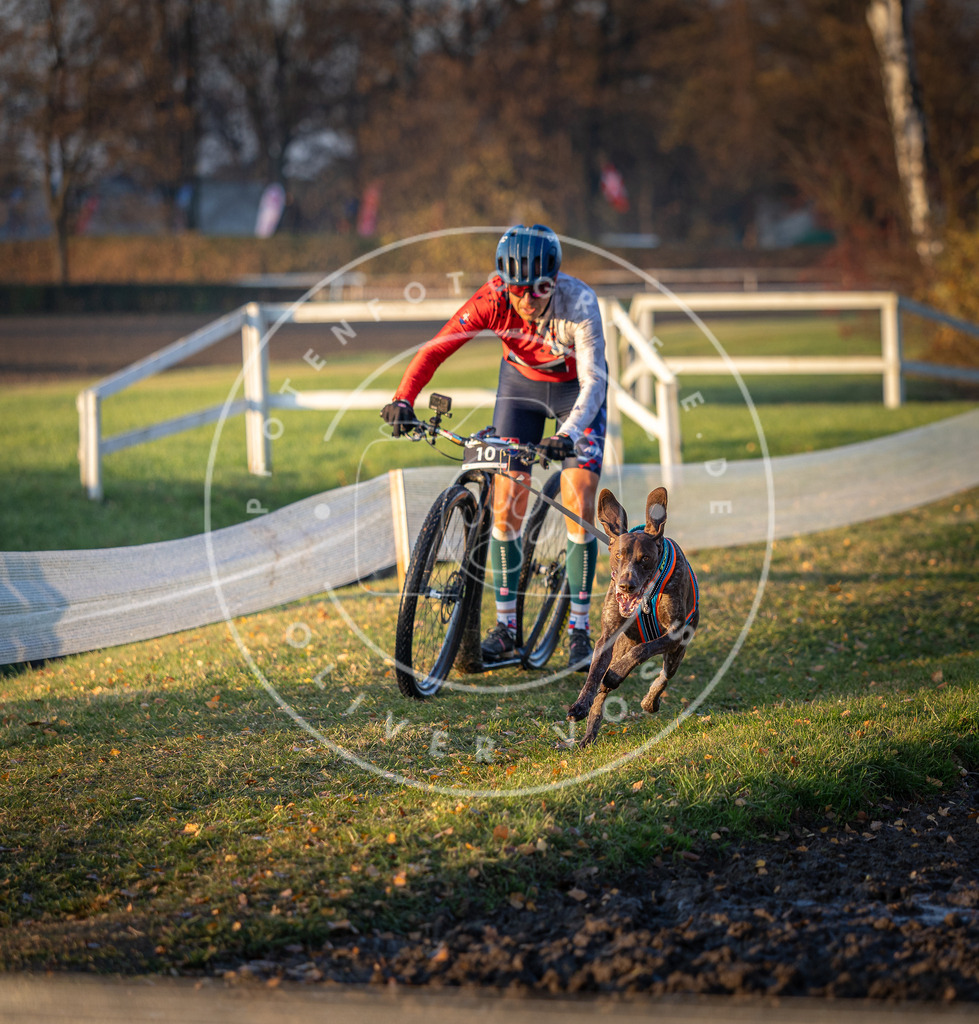 CaniXpix_DV3A9416 | Hundefotografie, Tierfotograf, Pfotenfotografie, Fotoshooting Hund, Hunde Portrait, Hundesport, Hundeportraits, Heideshooting, Hunde, Sportfotograf, Hundefotograf, Turnierhundsport, THS,  - Realisiert mit Pictrs.com