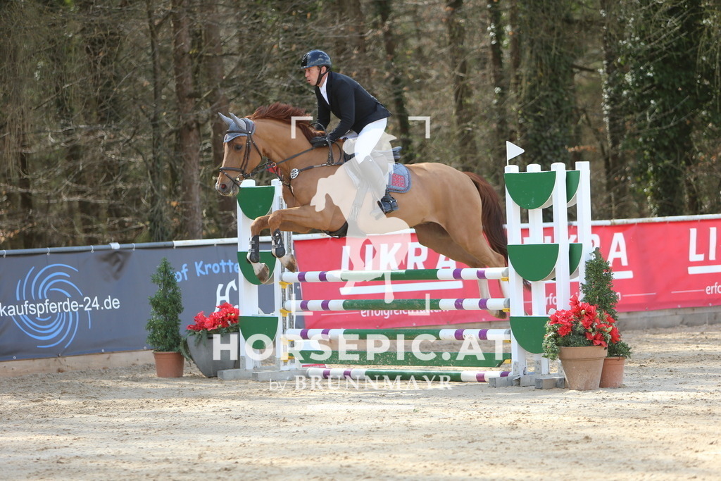 DL2Q9167 | Willkommen bei Brunnmayr - Design & Fotografie – Ihrem Spezialisten für Reitturniere und Pferdeveranstaltungen in Oberösterreich, Salzburg und Bayern! Seit über 17 Jahren sind wir leidenschaftlich dabei.