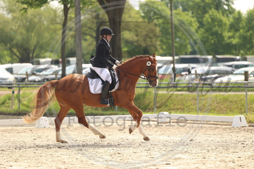 994A6507 | sabrinanicolaifotografie - Realisiert mit Pictrs.com