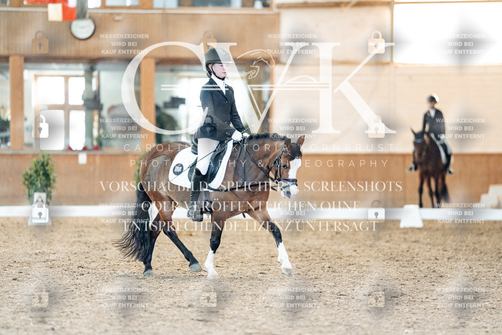 CK907448 | Turnierfotografie Pferdefotografie Trier Rheinland-Pfalz Pferdesport Reitsport Tierfotografie Sportfotografie Pferdevideo Pferdevideografie Equestrianvideography equestrianphotography  - Realisiert mit Pictrs.com