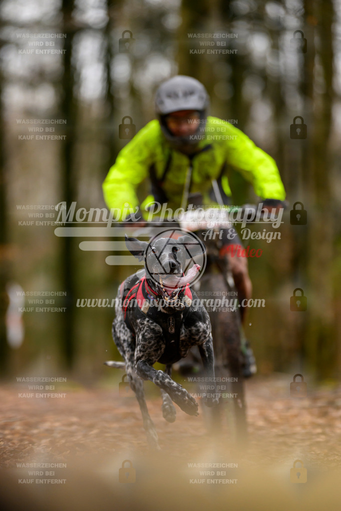 MompixPhotography_Habay2024_SA_Bike-43 | PayLife