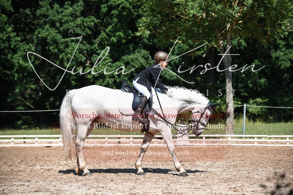 DSC_3635 | Pferde- und Turnierfotografie in Westsachsen. Pferdeportraits, Auftragszeichnungen und intuitive Kunst.