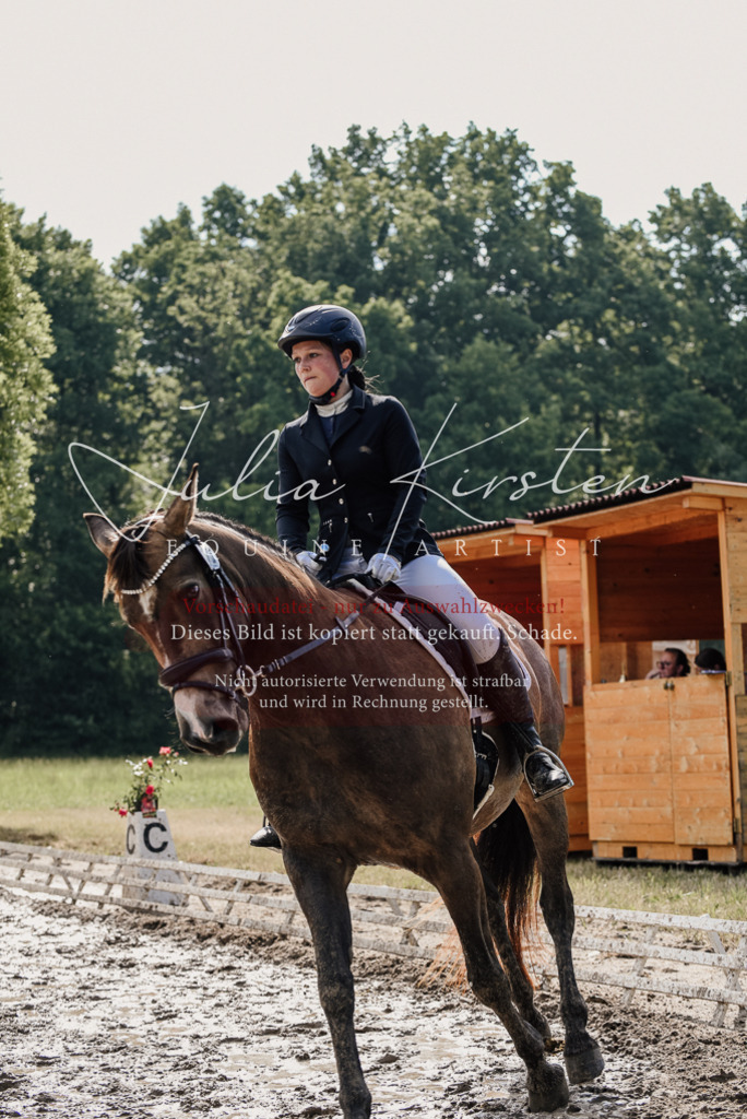 DSC_9239 | Pferde- und Turnierfotografie in Westsachsen. Pferdeportraits, Auftragszeichnungen und intuitive Kunst.