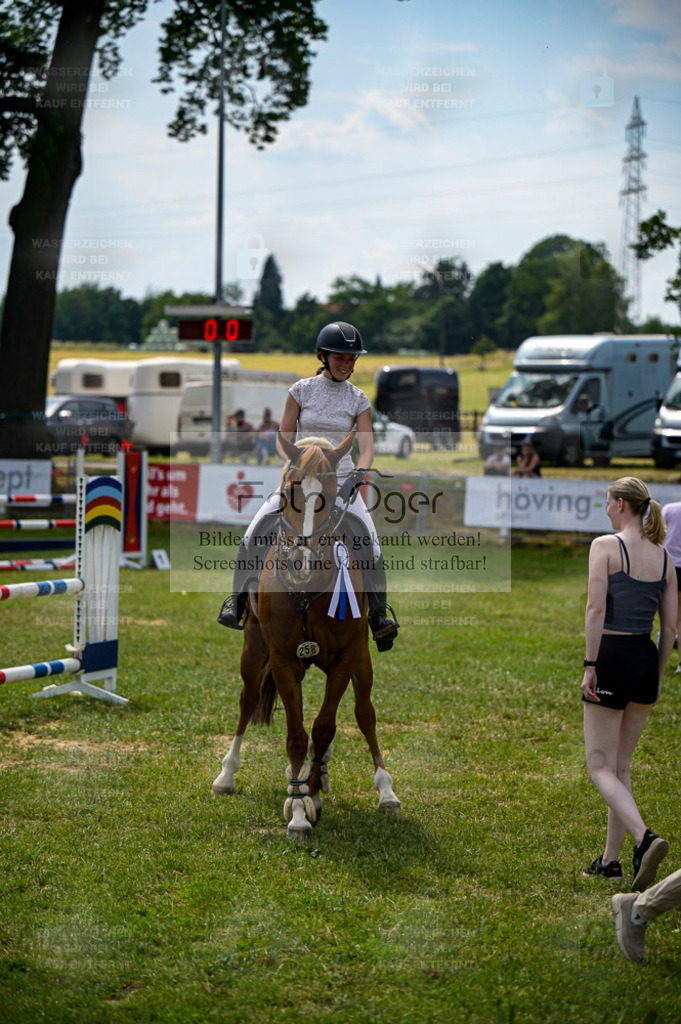 Reitturnier Voxtrup | Entdecke hochwertige Reitturnierfotos von Foto Oger. Professionell, emotional und authentisch – jetzt Lieblingsmomente im Shop bestellen. - Realisiert mit Pictrs.com