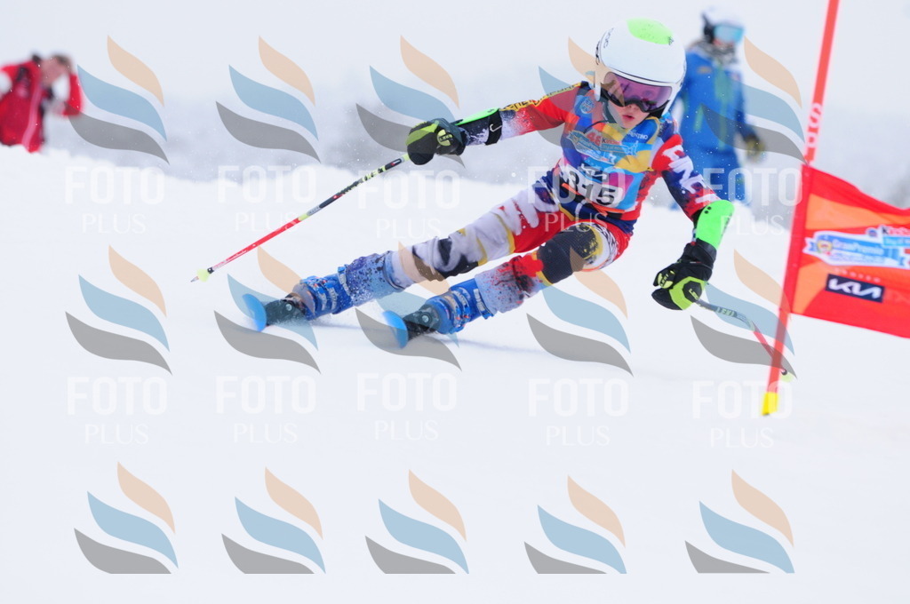 C3337 | holidayphoto