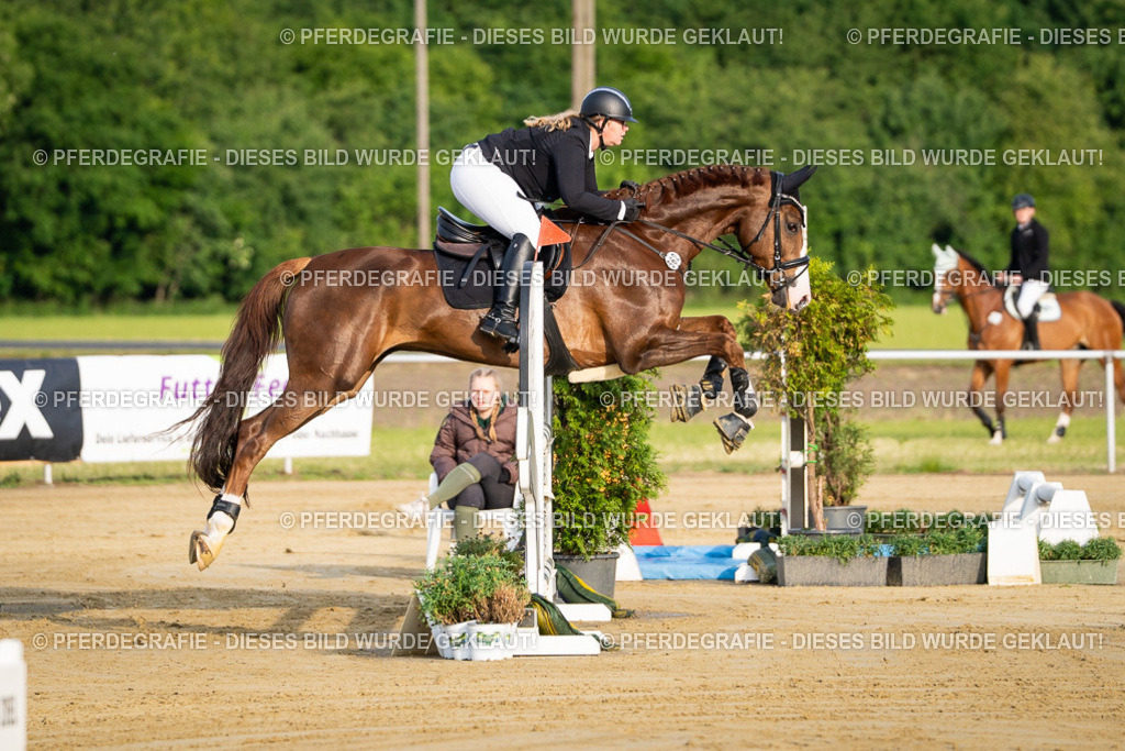 DSC01920 | Pferdegrafie