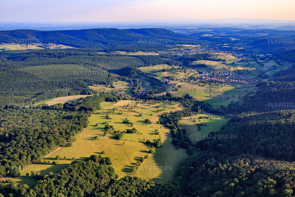 Vue aérienne: Prairies du nord à Wingen dans le département Bas Rhin, France – .Photo: IMG_080317.jpg prise le 05/06/2015 par Werner Riehm/FLY-FOTO.eu – Résolution de l'original: 5472 x 3648 px